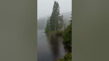 سورة مريم بصوت ماهر المعيقلي مع صوت المطر تلاوة عطرة