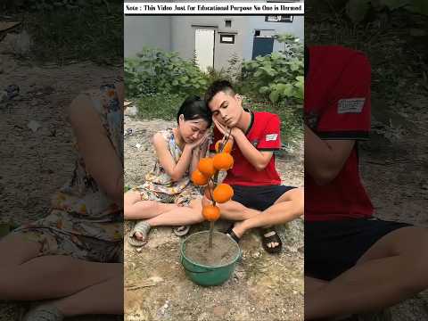Why Did the Orange Seller Get So Angry at His Girlfriend? 🍊😳 #youtubeshorts #facts
