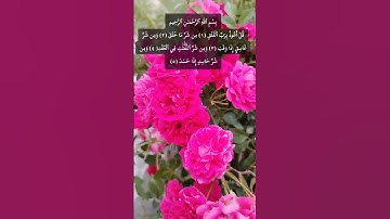سورة الفلق ❤️عبدالباسط عبدالصمد رحمة الله ❤️😘😴