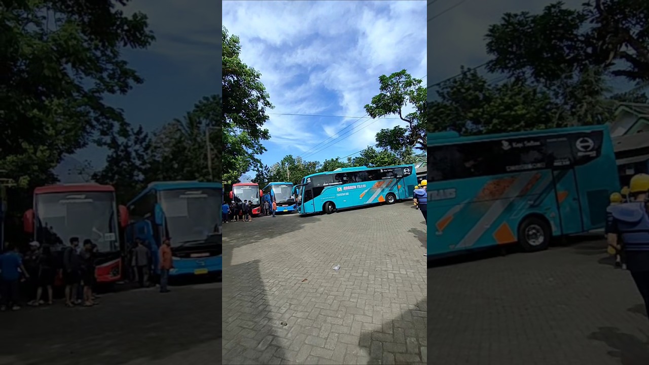 SONGA RAFTING|| rombongan BCA 4 bus besar 👍 mau tau paket songa adventure cek di bio kak.