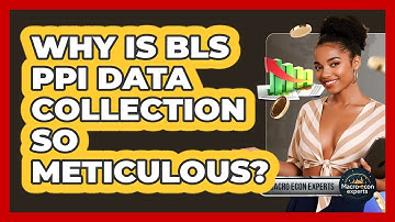 Why Is BLS PPI Data Collection So Meticulous? - Macroecon Experts