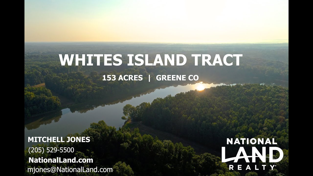 Land for Sale National Land Realty 153 Acres Greene County, AL