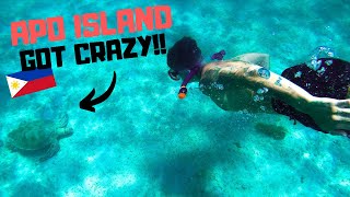 The Philippines TRANSFORMED us!! Apo Island BLEW Foreigners Minds!!!