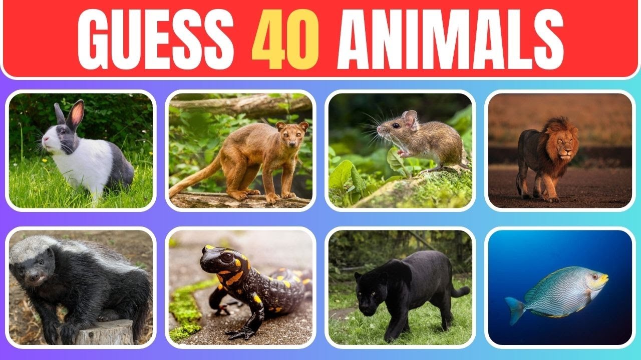 Animal Name Guessing Game Can You Name 40 Animals In 5 Seconds animal-name-guessing-game-can-you-name-40-animals-in-5-seconds