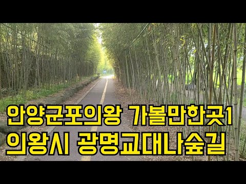 #식당창업, 안양군포의왕 가볼만한곳1:의왕시 광명교대나숲길