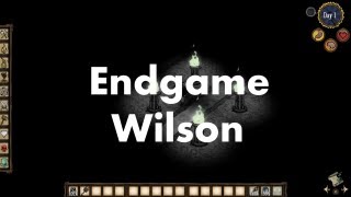 Don't Starve: Endgame Wilson Don't Starve: Endgame Wilson