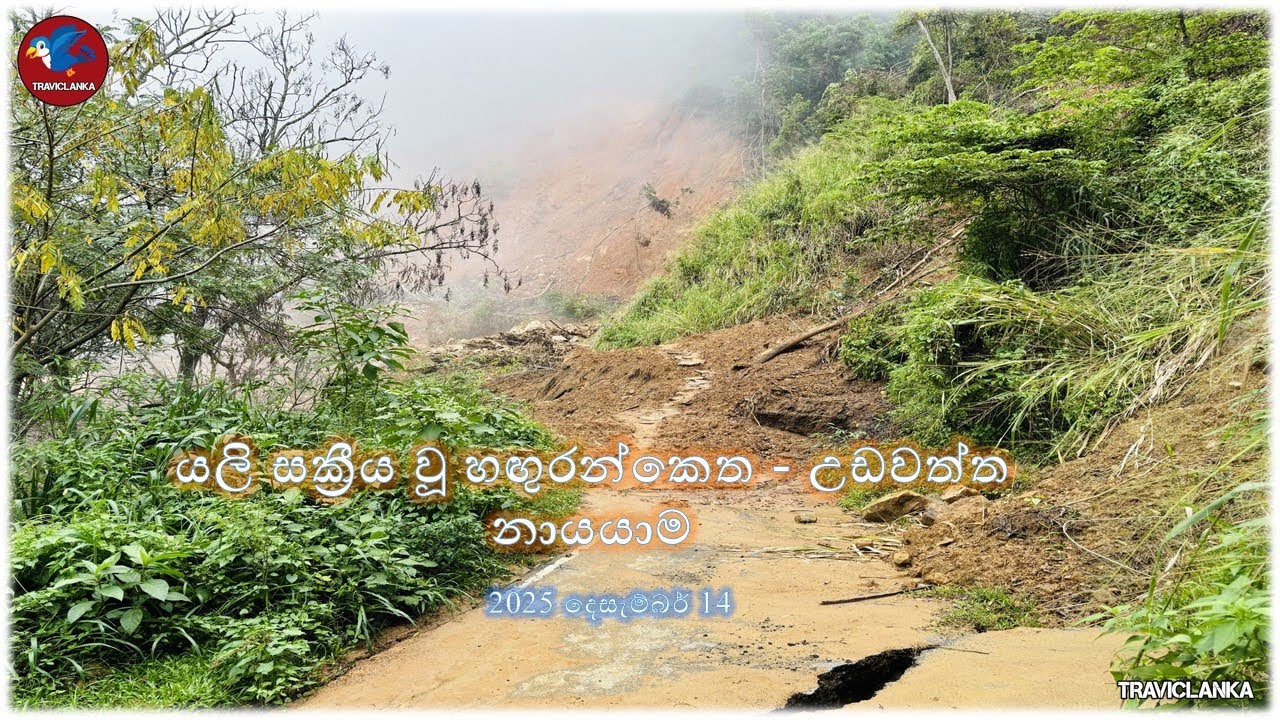 යලි සක්‍රීය වූ හඟුරන්කෙත - උඩවත්ත නායයාම