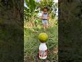 Survival Skills SINGLE Mom SMART Idea And Useful With Orange Bushcraft Camping Outdoors Survival Skills SINGLE Mom SMART Idea And Useful With Orange Bushcraft Camping Outdoors