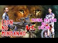 Bornok VS Mitra : Lion VS Young Master : HARI NG MX