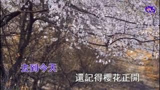櫻花樹下 | 張敬軒 | 粵語 | 高清 | 伴唱版本 | 卡拉OK | KARAOKE | KTV