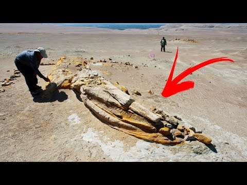 Vídeo: 15 De Los Hallazgos Más Misteriosos Encontrados En Desiertos De Todo El Mundo - Vista Alternativa