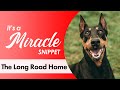 The Long Road Home - It's a Miracle