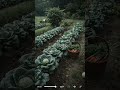 #naturelovers #music #nature #status #song #video