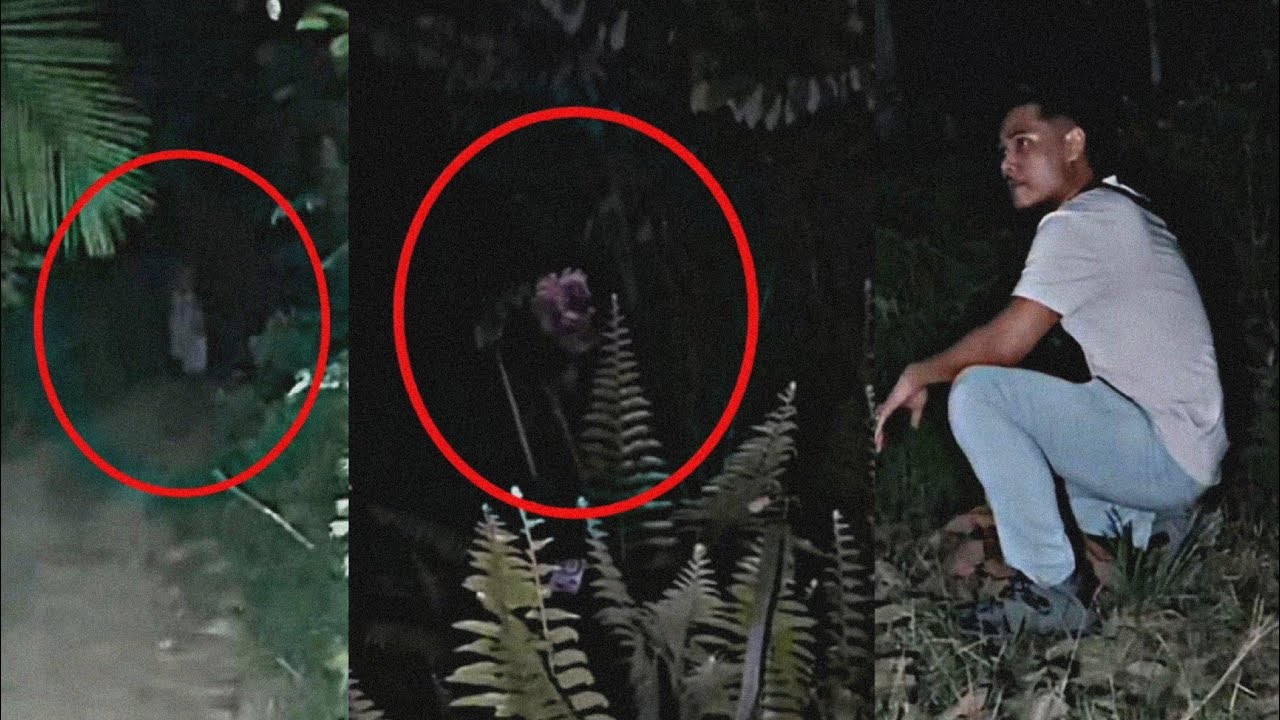 BUKIT BUNIAN 2 - HANTU TARIK MAYAT | Paranormal DZP Dauz | Muka NENEK KEBAYAN Mengintai Tepi POKOK!