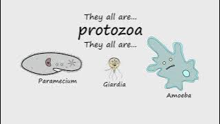 Protozoa by Peter Weatherall