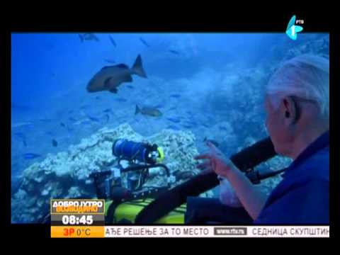 Video: Odkrili Koralni Greben V Italiji