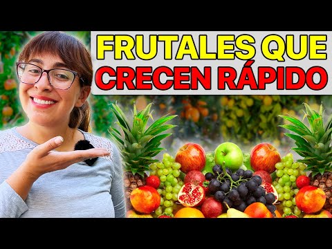Video: Árboles frutales de guayaba populares - ¿Cuáles son las diferentes variedades de árboles de guayaba?