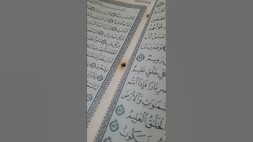 سورة النمل القاريء الشيخ المغربي الياس حجري