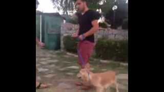 Köpekle Kız Tavlayamamak Vine