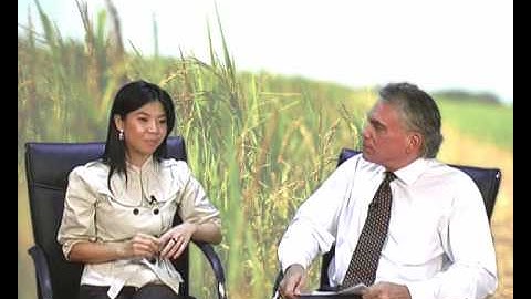 Organic Rice Thailand - Grace Bio