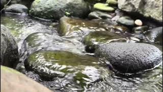 Relaksasi Suara Air mengalir Tenang dan Jernih @adesifahairani