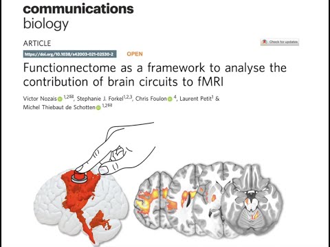 Functionnectome Tutorial