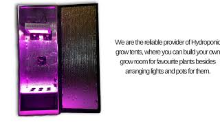 Indoor Gardening Made Easy With Hydroponics System