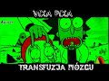 VIXA PIXA - TRANSFUZJA MÓZGU 👽🎵