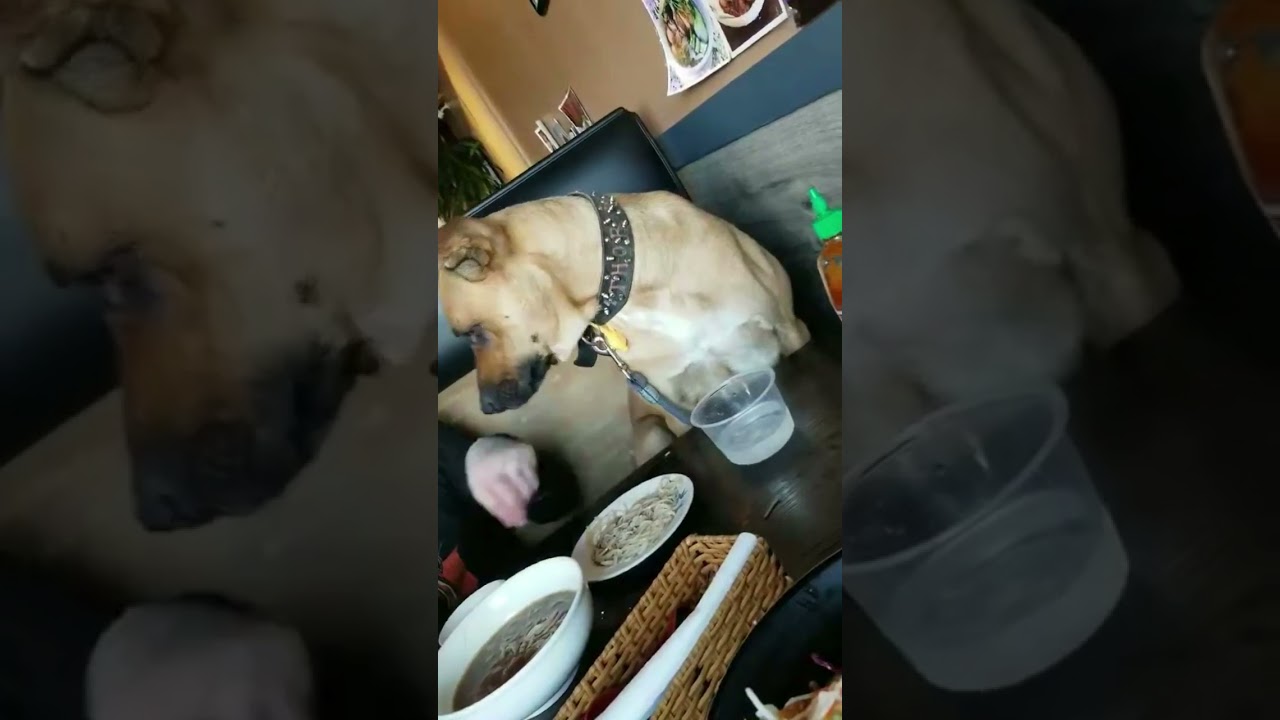 WWK Group members visit Joe Burns