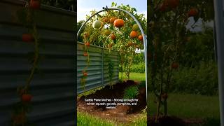 🌿 Best Plant Support Ideas for Tomatoes, Cucumbers & Climbing Vegetables 🌱 | Vertical Gardening Tips