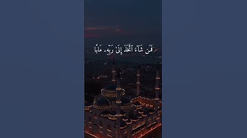 يَوْمَ يَقُومُ الرُّوحُ وَالْمَلَائِكَةُ صَفًّا ۖ| #quran #قرآن #تلاوات_خاشعة #تلاوة_خاشعة #النبأ
