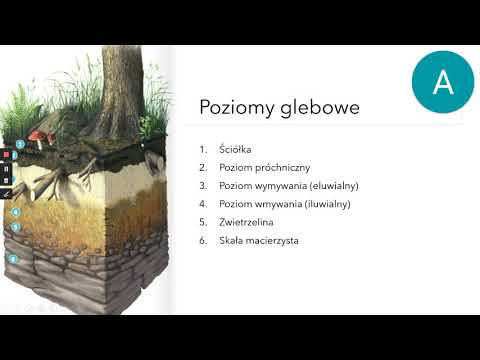 Wideo: Jaka praktyka pomoże chronić zasoby gleby?