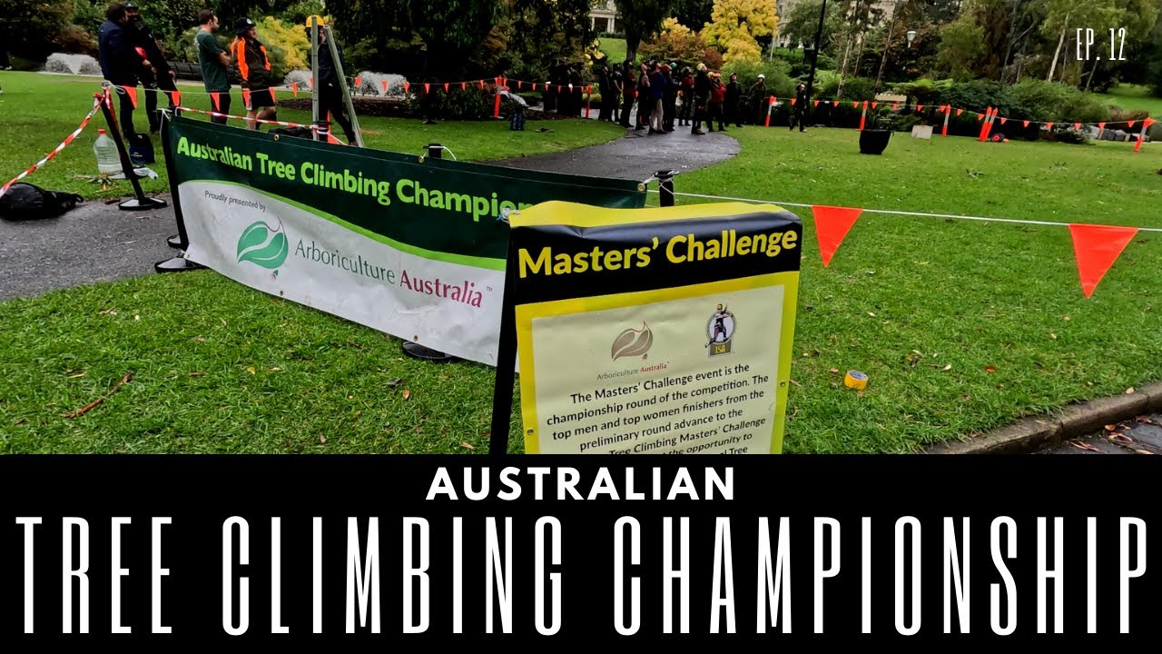 2024 TREE CLIMBING CHAMPIONSHIP Ep.13 - YouTube