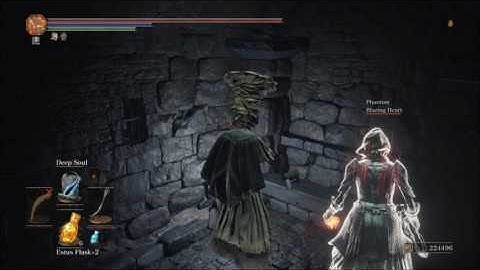 Dark Souls 3 irithyll dungeon jump scare