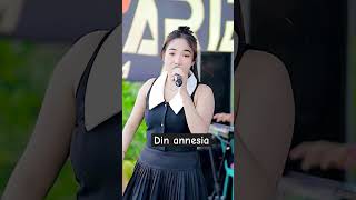 Download Lagu DIN ANNESIA ZARIDEN MUSIC MP3
