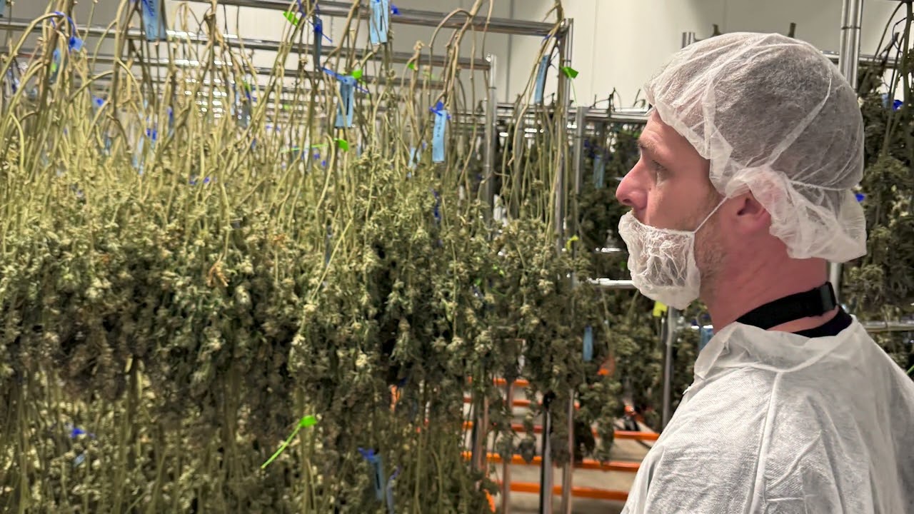 Grow Tour: Missouri Cultivation Facility