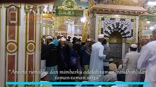 Apa Itu Raudhah di Masjid Nabawi?