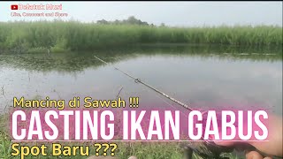 💖Mancing di Sawah ‼️ Casting Ikan Gabus di Spot Baru ‼️ #fishing #mancingdisawah #castingikangabus