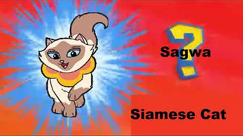 Who's that Siamese Cat? It's Sagwa!