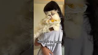 Cats=happy #catvideos #cat #cute #cats#catshorts #fyp