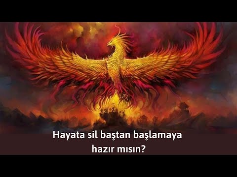 Hayata Sil Baştan Başlamaya Hazır mısın?