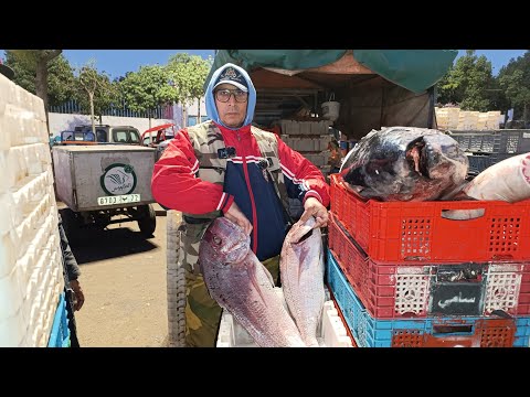 دائما الجودة عند أسماك بوشعيب بتاريخ 22 11 25 مرحبا بالجميع 0661789382 الله يسهل على الجميع