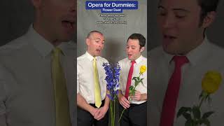 Opera for Dummies: Flower Duet (Shorts version) opera classicalmusic comedy