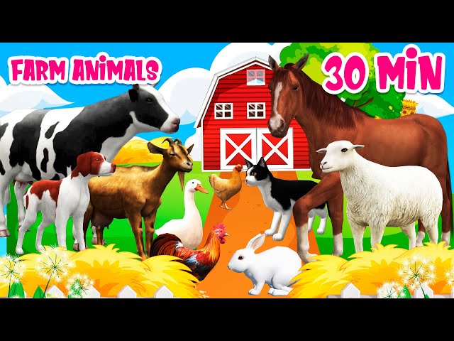 Farm animal sounds Farm animals for kids Learn Farm animals class=