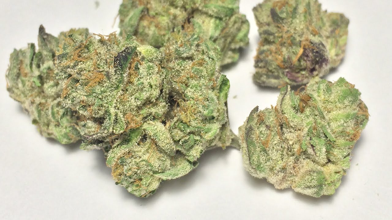 "Platinum Girl Scout Cookies" - (Strain Review) - YouTube.
