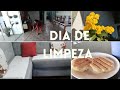 LIMPEZA E ORGANIZAÇÃO (SOFA , ÁREA GOURMET E QUINTAL)