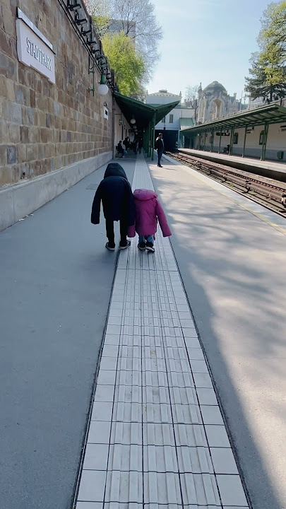 #music#reelsvideo #viennaaustria