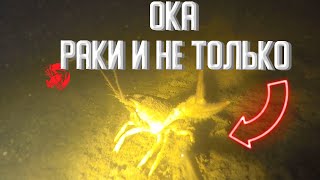 Ночная подводная охота на Оке