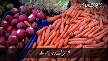 سورة الإسراء الآية   9-  15 - القرآن الكريم - د صلاح باعثمان