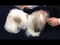 Pet-Cool 『Silk&Collagen』 How to use